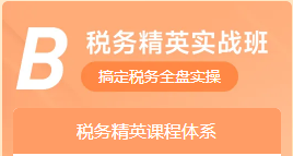 B稅務(wù)精英實(shí)戰(zhàn)班