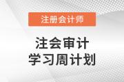 2023年注會(huì)審計(jì)基礎(chǔ)階段學(xué)習(xí)計(jì)劃！建議收藏！