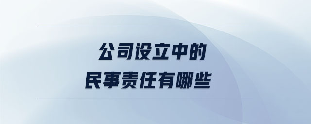公司設立中的民事責任有哪些 公司設立中的民事責任有哪些