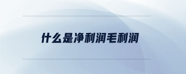 什么是凈利潤毛利潤