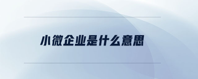 小微企業(yè)是什么意思 小微企業(yè)是什么意思