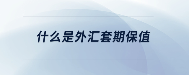 什么是外匯套期保值？