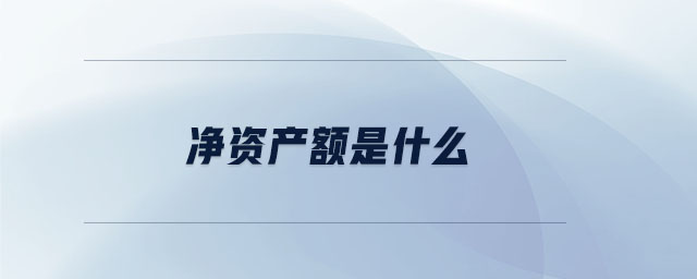 凈資產(chǎn)額是什么