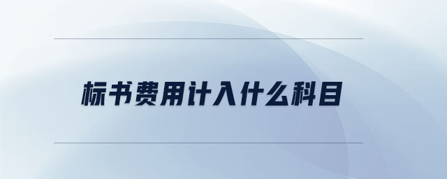標書費用計入什么科目