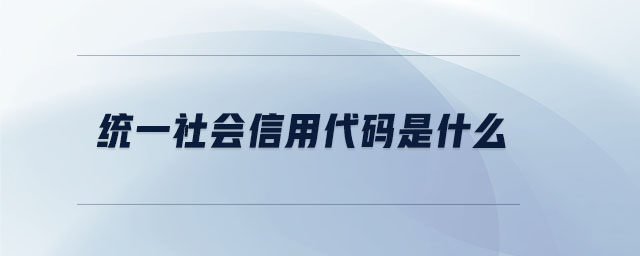 統(tǒng)一社會信用代碼是什么