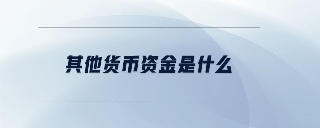 其他貨幣資金是什么 其他貨幣資金是什么