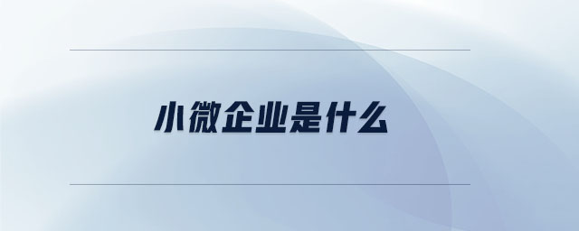 小微企業(yè)是什么 小微企業(yè)是什么