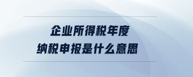 企業(yè)所得稅年度納稅申報(bào)是什么意思