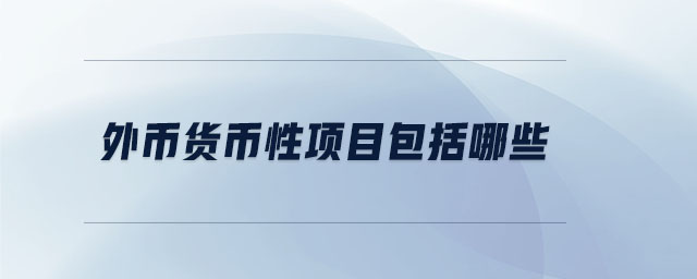 外幣貨幣性項目包括哪些 外幣貨幣性項目包括哪些