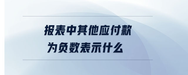 報表中其他應付款為負數(shù)表示什么