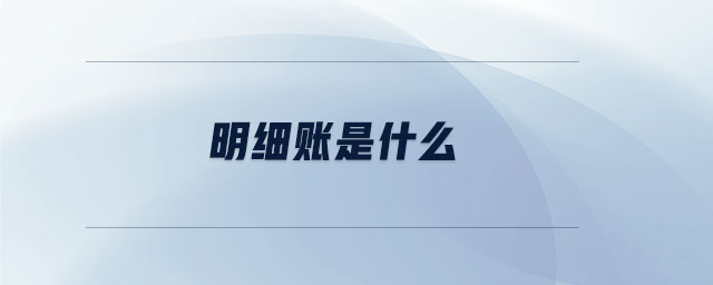 明細(xì)賬是什么 明細(xì)賬是什么