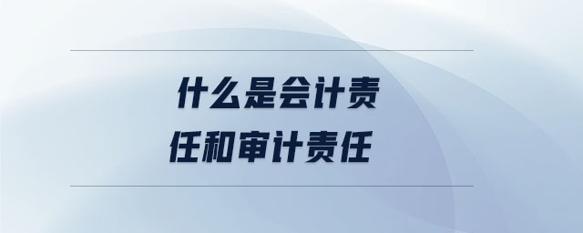 什么是會計責任和審計責任