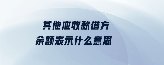 其他應(yīng)收款借方余額表示什么意思 其他應(yīng)收款借方余額表示什么意思