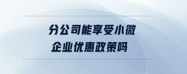 分公司能享受小微企業(yè)優(yōu)惠政策嗎 分公司能享受小微企業(yè)優(yōu)惠政策嗎