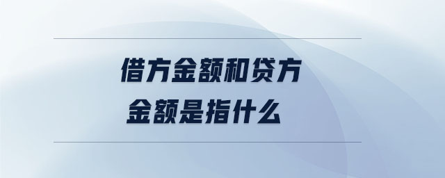 借方金額和貸方金額是指什么 借方金額和貸方金額是指什么