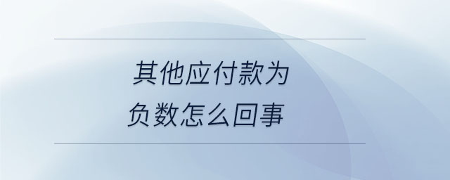 其他應(yīng)付款為負(fù)數(shù)怎么回事 其他應(yīng)付款為負(fù)數(shù)怎么回事