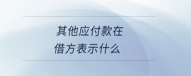 其他應(yīng)付款在借方表示什么 其他應(yīng)付款在借方表示什么