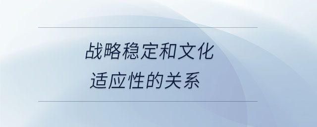 戰(zhàn)略穩(wěn)定和文化適應性的關系 戰(zhàn)略穩(wěn)定和文化適應性的關系