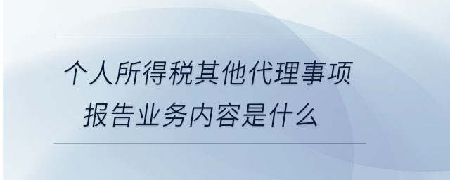 個人所得稅其他代理事項報告業(yè)務內(nèi)容是什么 個人所得稅其他代理事項報告業(yè)務內(nèi)容是什么