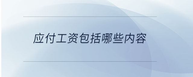 應付工資包括哪些內(nèi)容 應付工資包括哪些內(nèi)容
