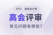 2023年高級(jí)會(huì)計(jì)師評(píng)審常見(jiàn)問(wèn)題有哪些？