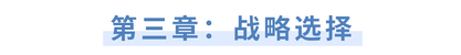 第三章:戰(zhàn)略選擇 第三章:戰(zhàn)略選擇