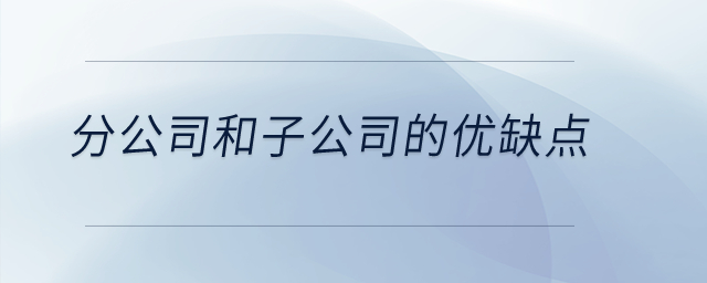 分公司和子公司的優(yōu)缺點(diǎn)？