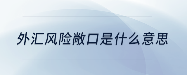 外匯風(fēng)險(xiǎn)敞口是什么意思