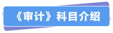 審計(jì)科目介紹