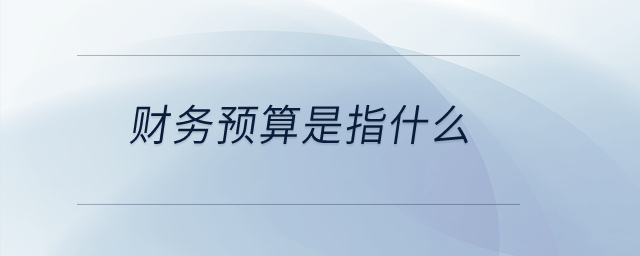財(cái)務(wù)預(yù)算是指什么？
