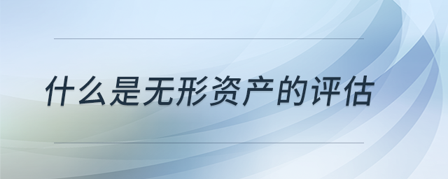 什么是無(wú)形資產(chǎn)的評(píng)估 什么是無(wú)形資產(chǎn)的評(píng)估