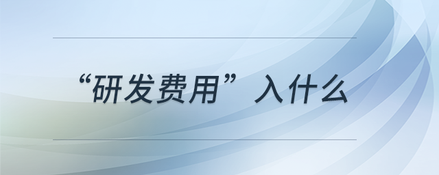 “研發(fā)費(fèi)用”入什么 “研發(fā)費(fèi)用”入什么