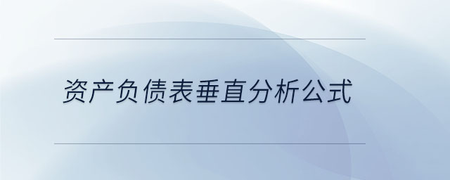 資產(chǎn)負債表垂直分析公式 資產(chǎn)負債表垂直分析公式