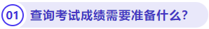 查詢(xún)考試成績(jī)需要準(zhǔn)備什么