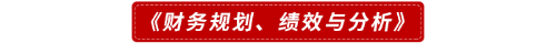《財務規(guī)劃、績效與分析》