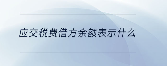 應(yīng)交稅費借方余額表示什么