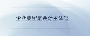 企業(yè)集團是會計主體嗎