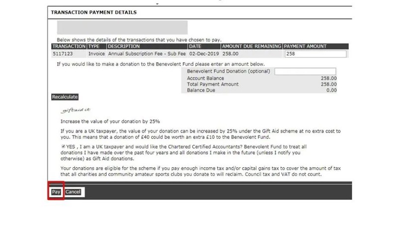 第五步：點(diǎn)擊左下角的“Pay”按鈕