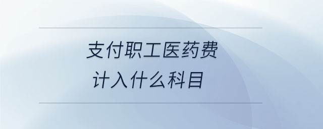 支付職工醫(yī)藥費(fèi)計(jì)入什么科目 支付職工醫(yī)藥費(fèi)計(jì)入什么科目
