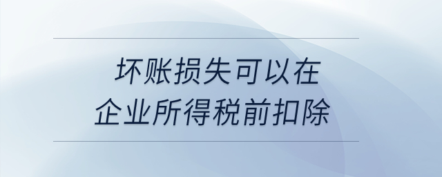 壞賬損失可以在企業(yè)所得稅前扣除？