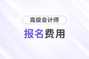 湖南省2025年高級(jí)會(huì)計(jì)師考試報(bào)名費(fèi)用公布