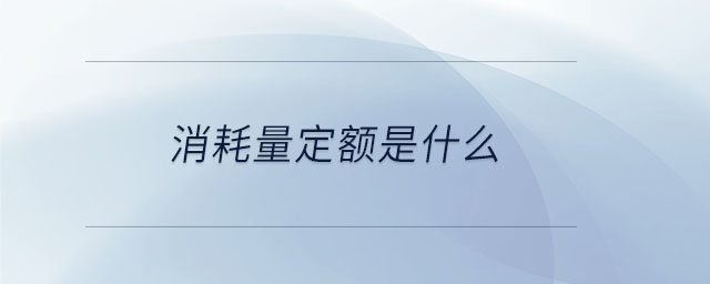 消耗量定額是什么