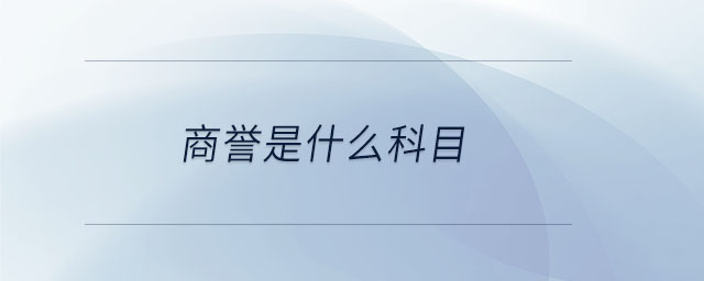 商譽(yù)是什么科目 商譽(yù)是什么科目
