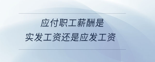應(yīng)付職工薪酬是實(shí)發(fā)工資還是應(yīng)發(fā)工資 應(yīng)付職工薪酬是實(shí)發(fā)工資還是應(yīng)發(fā)工資