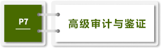 高級(jí)審計(jì)與鑒證-P7