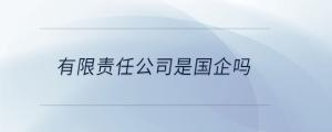 有限責(zé)任公司是國(guó)企嗎