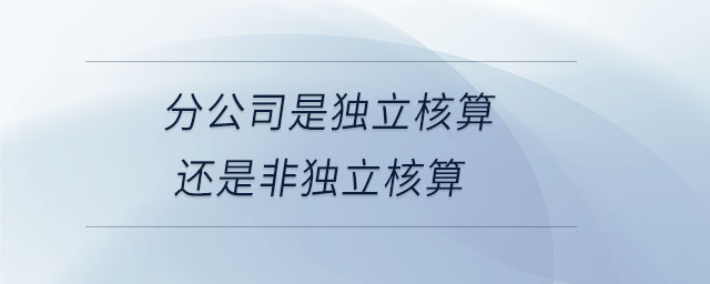 分公司是獨立核算還是非獨立核算 分公司是獨立核算還是非獨立核算