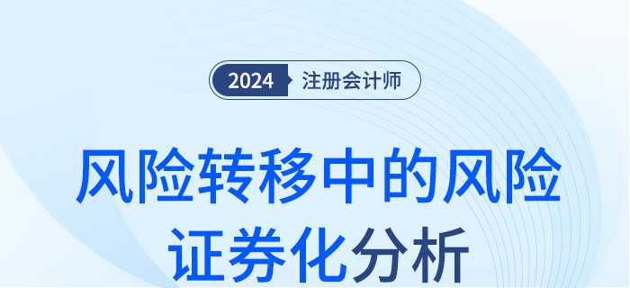 風(fēng)險證券化-大 風(fēng)險證券化-大