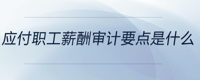 應(yīng)付職工薪酬審計(jì)要點(diǎn)是什么 應(yīng)付職工薪酬審計(jì)要點(diǎn)是什么