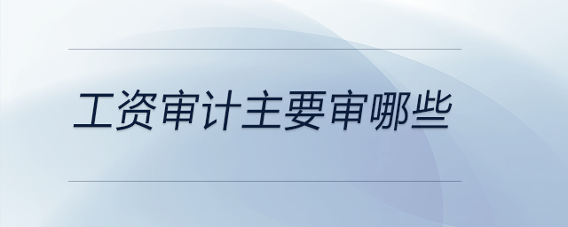 工資審計主要審哪些 工資審計主要審哪些